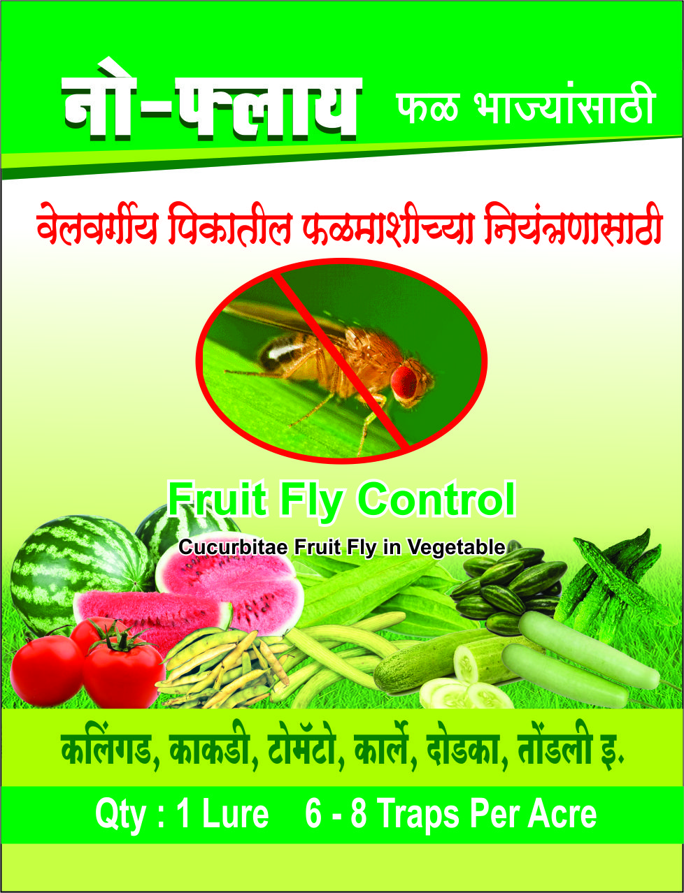 Melon Fly trap marathi