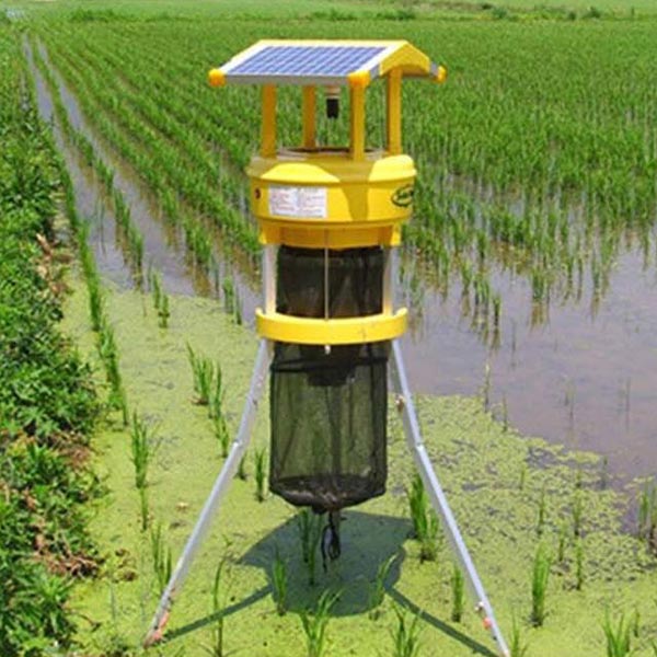 Solar Insect Trap